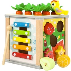Drewniana Kostka Edukacyjna - Sorter Montessori